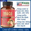 Viên uống chiết xuất sâm Maca với 5 thảo dược tăng năng lượng sinh lý nam nữ 8050 mg 90 viên