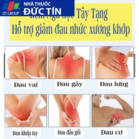 Kem xoa bóp Ngũ Độc Tây Tạng hỗ trợ giảm đau nhức cơ xương khớp hàng chính hãng tuýp 20Gr 14 taytang3