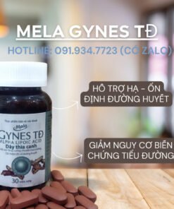 Mela Gynes TĐ - Hỗ trợ người tiểu đường - tăng cường chuyển hóa đường, hỗ trợ cải thiện chỉ số đường huyết 16 tieuduong7
