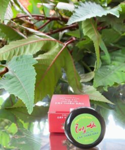 Cao Bôi Trĩ cây thầu dầu tía ÔNG ĐA, 100% thảo dược Hiệu Quả, An Toàn.