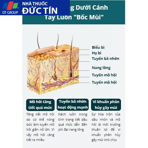 Xịt Khử Mùi Shitong Chính Hãng Khử Mùi Hôi Nách Ngăn Tiết Mồ Hôi Khử Mùi Cơ Thể Chai Dạng Xịt 60ml 24