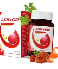 Lipixgo Hỗ trợ điều trị các bệnh Mỡ máu – Huyết áp cao