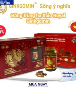 dongtrun1 1