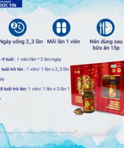 dongtrung5