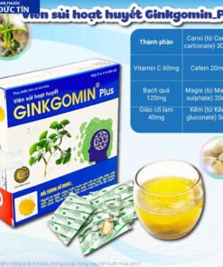 Viên sủi hoạt huyết Ginkgomin Plus - Bí Quyết Hoạt Huyết An Thần, Tăng Cường Trí Não và Sức Khỏe Toàn Diện 12 ginkgo2