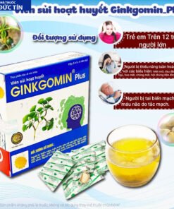 Viên sủi hoạt huyết Ginkgomin Plus - Bí Quyết Hoạt Huyết An Thần, Tăng Cường Trí Não và Sức Khỏe Toàn Diện 13 ginkgo3