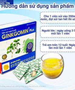 Viên sủi hoạt huyết Ginkgomin Plus - Bí Quyết Hoạt Huyết An Thần, Tăng Cường Trí Não và Sức Khỏe Toàn Diện 15 ginkgo5