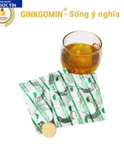 Viên sủi hoạt huyết Ginkgomin Plus - Bí Quyết Hoạt Huyết An Thần, Tăng Cường Trí Não và Sức Khỏe Toàn Diện 17 ginkgo8