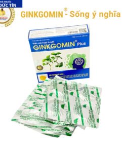 Viên sủi hoạt huyết Ginkgomin Plus - Bí Quyết Hoạt Huyết An Thần, Tăng Cường Trí Não và Sức Khỏe Toàn Diện 19 ginkog6