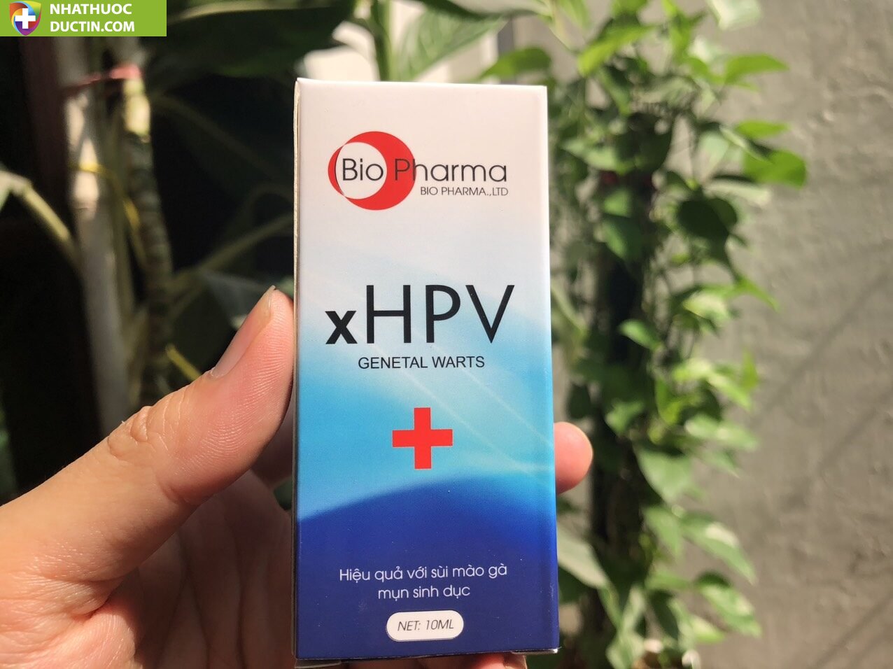 XHPV thổi bay sùi mào gà, gai sinh dục, hạt ngọc dv chấm dứt sùi mào gà sau 7 ngày sử dụng ( che tên ) 28 heo1 2