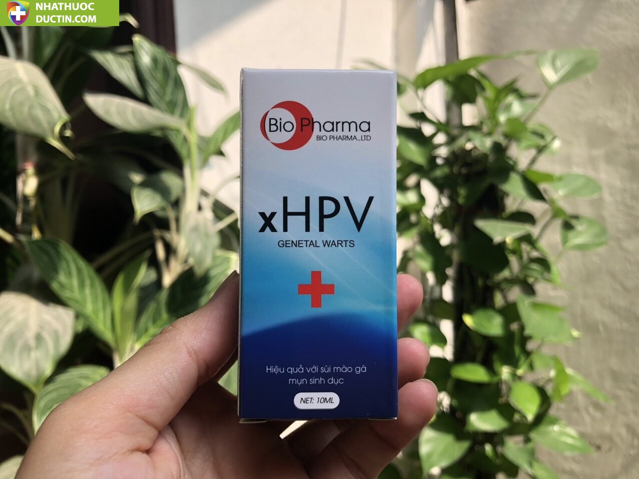 XHPV thổi bay sùi mào gà, gai sinh dục, hạt ngọc dv chấm dứt sùi mào gà sau 7 ngày sử dụng ( che tên ) 25 heo4 1