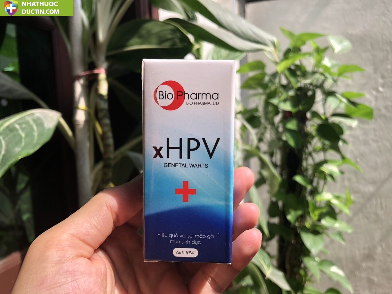XHPV thổi bay sùi mào gà, gai sinh dục, hạt ngọc dv chấm dứt sùi mào gà sau 7 ngày sử dụng ( che tên ) 24 heo5 1
