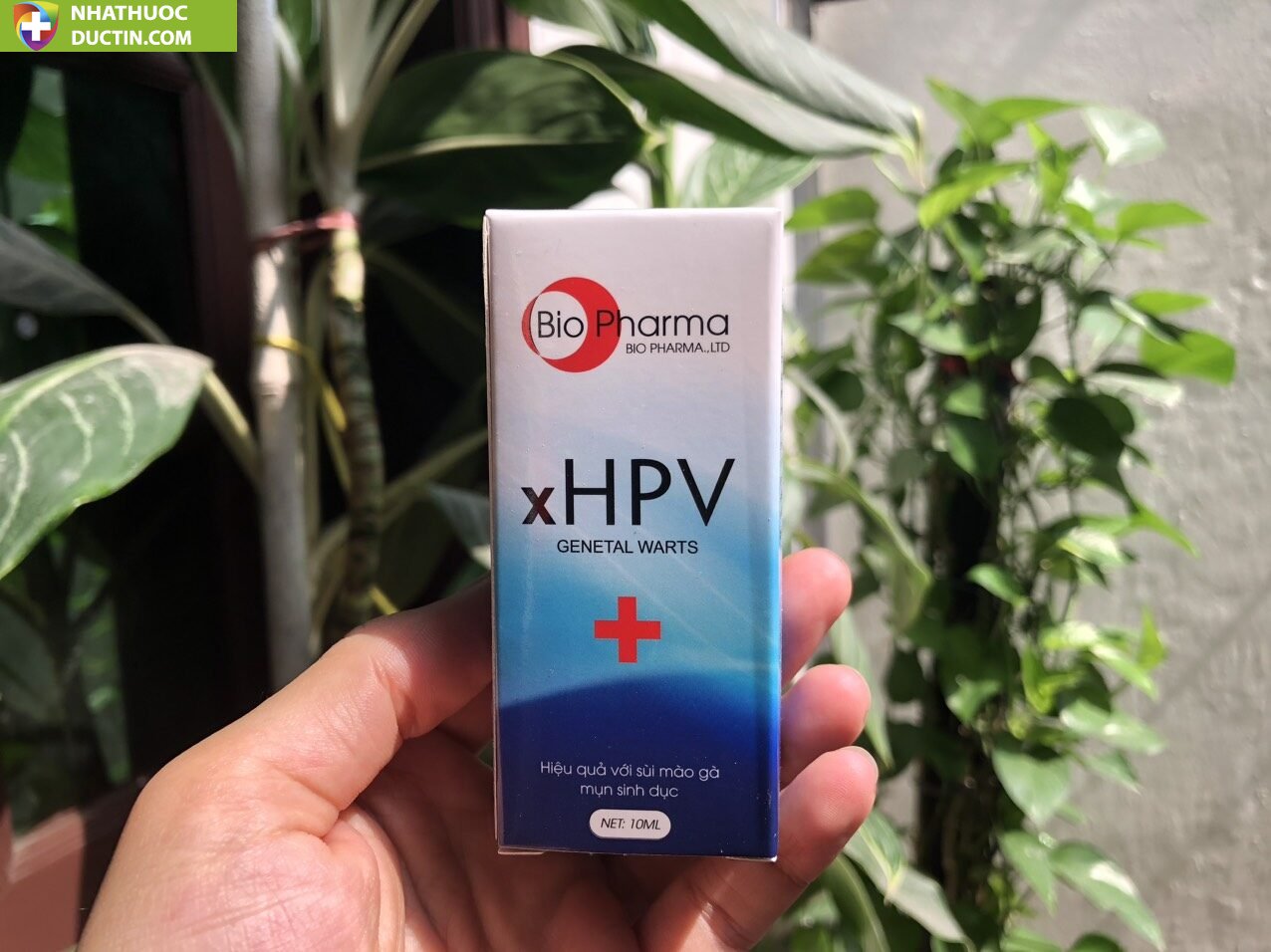 XHPV thổi bay sùi mào gà, gai sinh dục, hạt ngọc dv chấm dứt sùi mào gà sau 7 ngày sử dụng ( che tên ) 29 heo6