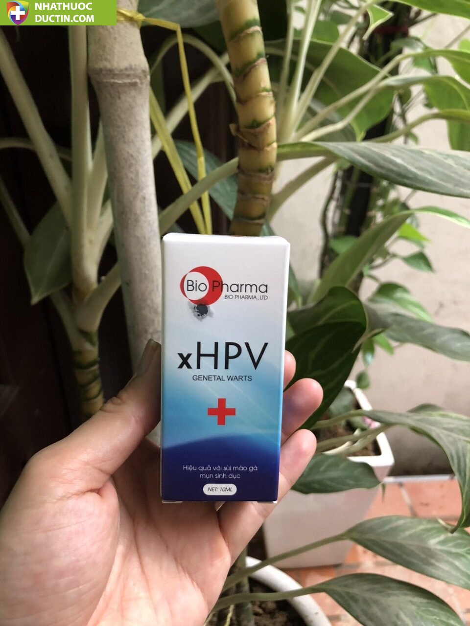 XHPV Chuyên Trị Mụn Sinh Dục Sùi Mào Gà Nam Giới 14