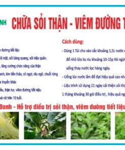 cây đầu đanh trị sỏi thận viêm đường tiết niệu