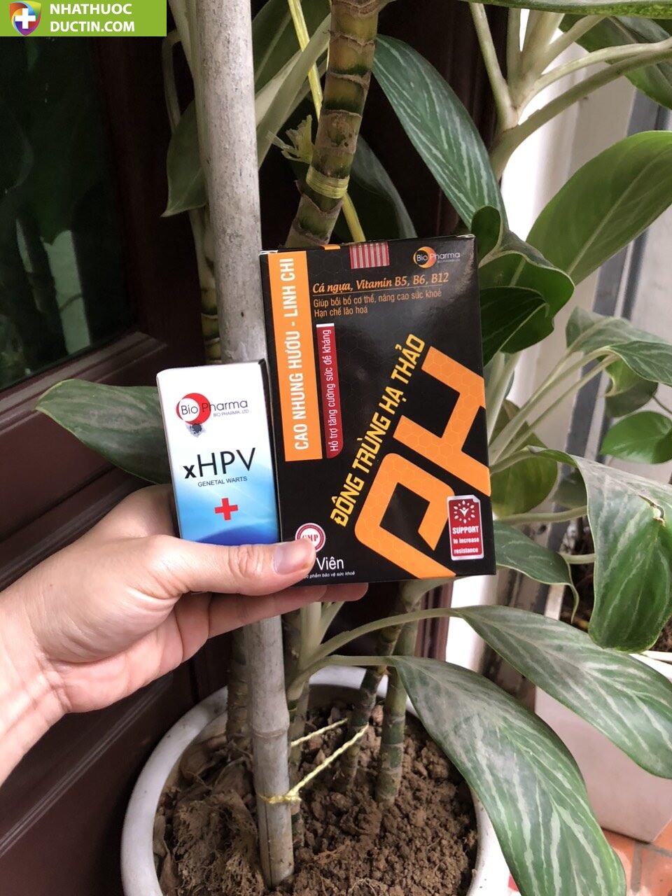 đông trùng hạ thảo hỗ trợ đào thải HPV tăng sức đề kháng(CÓ CHE TÊN SẢN PHẨM) 17 g2