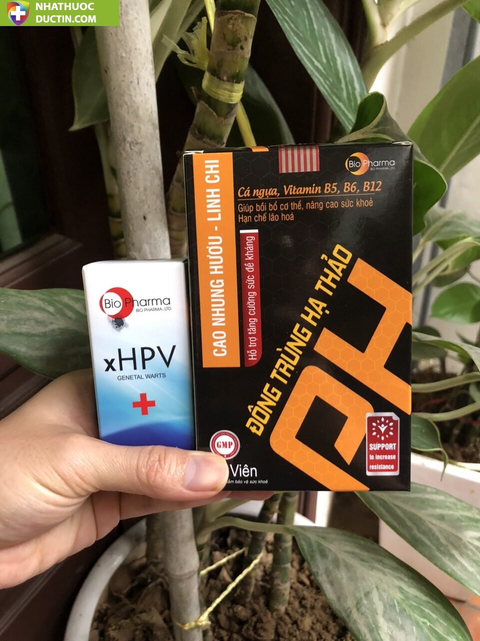 đông trùng hạ thảo hỗ trợ đào thải HPV tăng sức đề kháng(CÓ CHE TÊN SẢN PHẨM) 16 g4