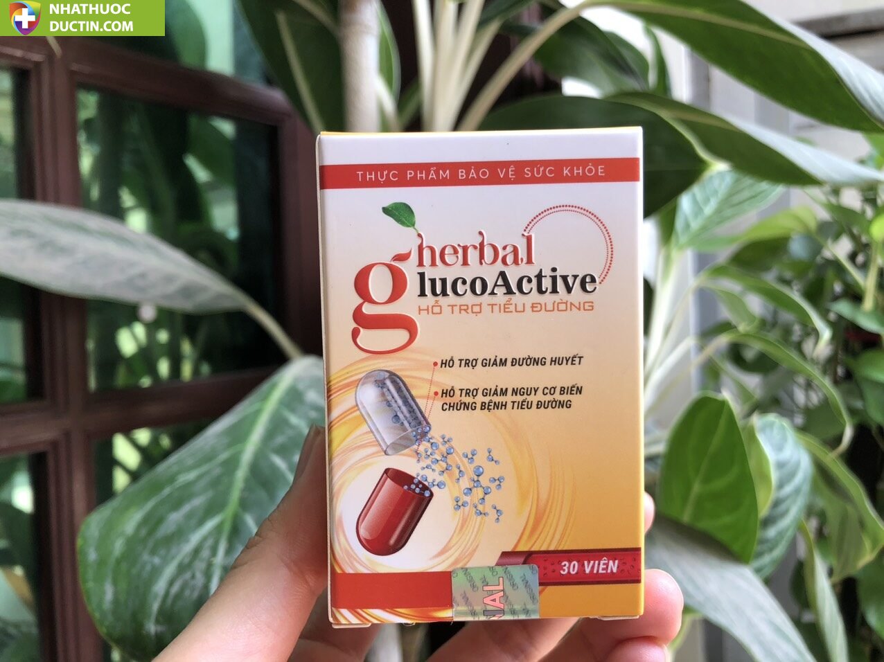 COMBO 2 HỘP HERBAL GLUCOACTIVE – VIÊN UỐNG HỖ TRỢ ĐIỀU TRỊ BỆNH TIỂU ĐƯỜNG 23 gluco1