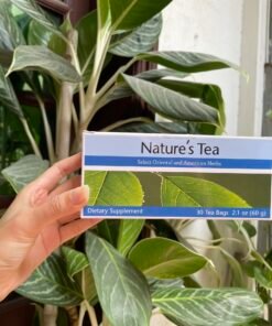 Trà thải độc ruột NATURE'S TEA