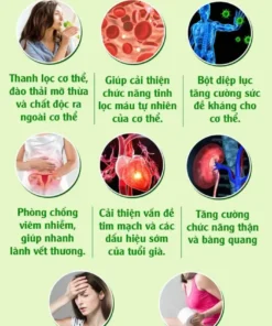 Bo San Pham Giam Can Dot Mo Cho Nguoi Bi Da Day 05.jpg