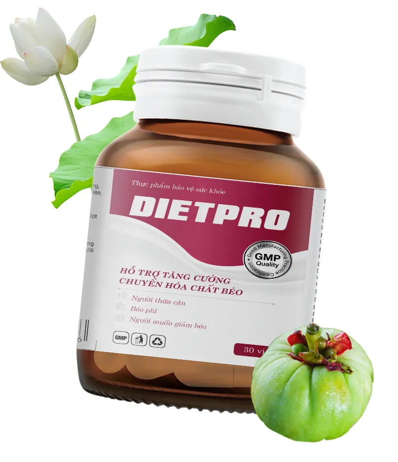 Viên Uống Dietpro hỗ trợ giảm cân hiệu quả hộp (30 viên) 33 DIETPRO 3