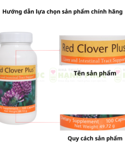 Phan biet Red Clover