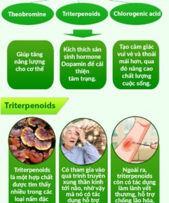 Unimate Tra Vi Chanh Gung 04 1