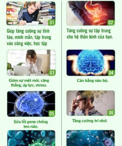 Unimate Tra Vi Chanh Gung 06 1