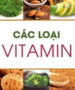 cac loai vitamin