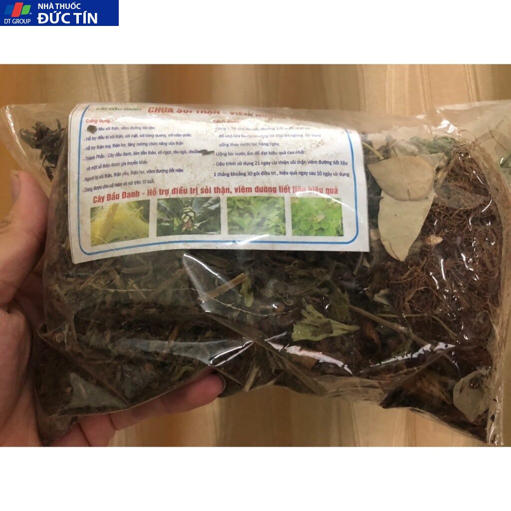 Cây Đầu Đanh Hỗ Trợ sỏi thận, sỏi mật, sỏi bàng quang, lợi mật, thông tiểu, giãn mạch, hạ huyết áp 20 caydau3