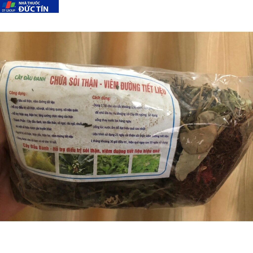 Cây Đầu Đanh Hỗ Trợ sỏi thận, sỏi mật, sỏi bàng quang, lợi mật, thông tiểu, giãn mạch, hạ huyết áp 19 caydau4