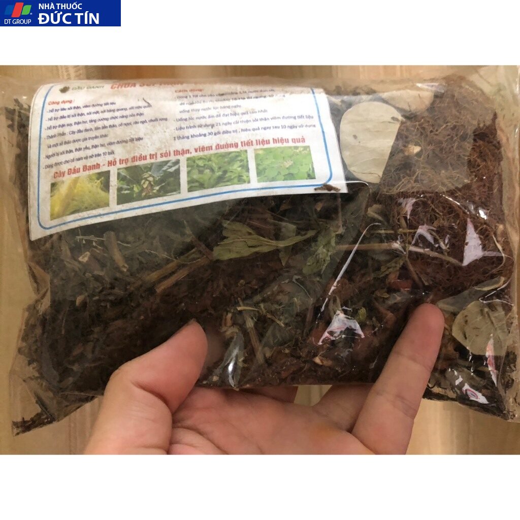 Cây Đầu Đanh Hỗ Trợ sỏi thận, sỏi mật, sỏi bàng quang, lợi mật, thông tiểu, giãn mạch, hạ huyết áp 17 caydau6