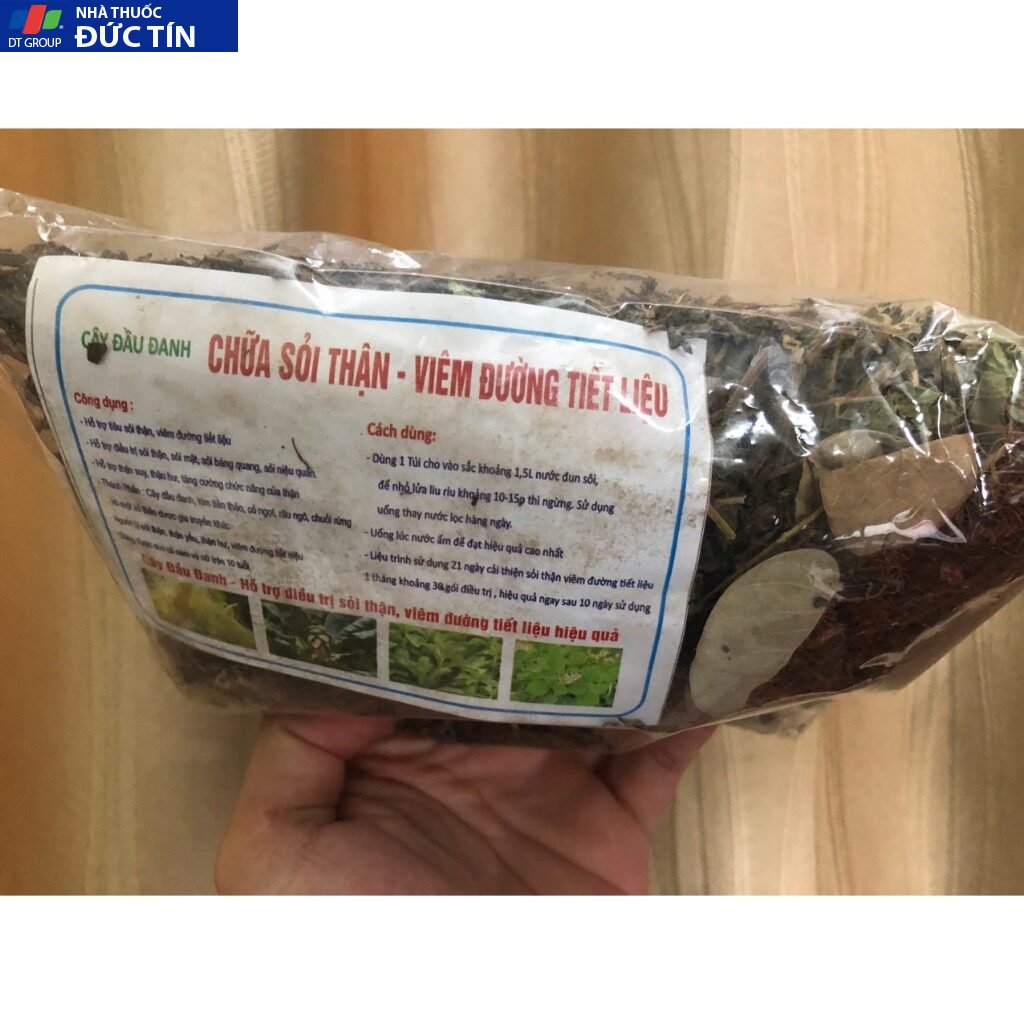 Cây Đầu Đanh Hỗ Trợ sỏi thận, sỏi mật, sỏi bàng quang, lợi mật, thông tiểu, giãn mạch, hạ huyết áp 16 caydau7