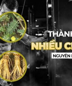 chai xit strong men 05 626efc72c5be40e7ace9d277b0b4820a