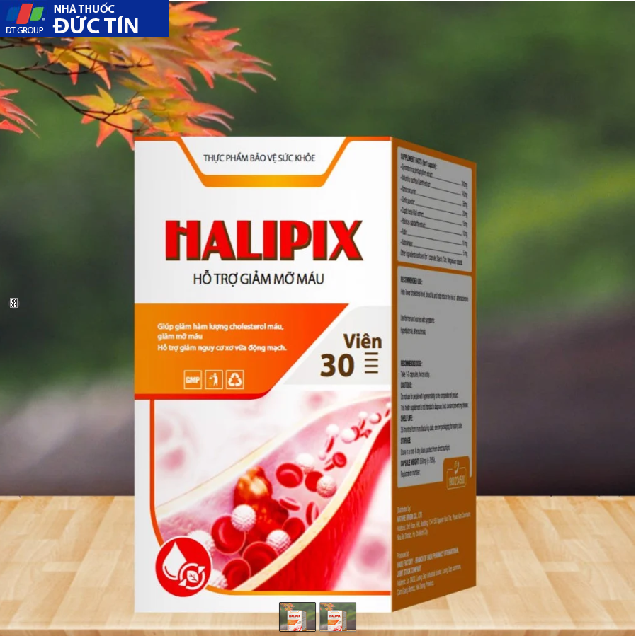 HALIPIX 4