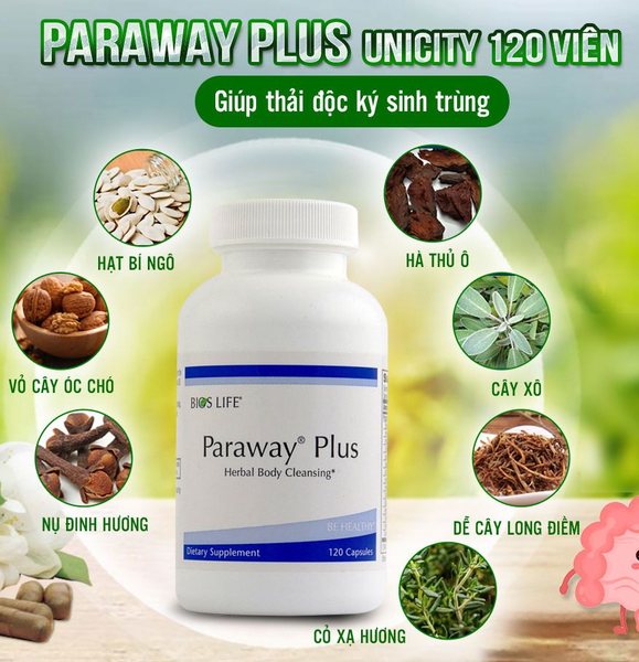 Paraway Plus 32 para4 1