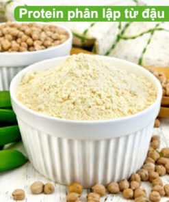 protein phan lap tu dau ha lan