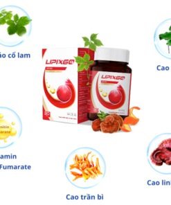 Combo 24 hộp lipixgo, viên uống hỗ trợ giảm mỡ máu 13 thanh1 1