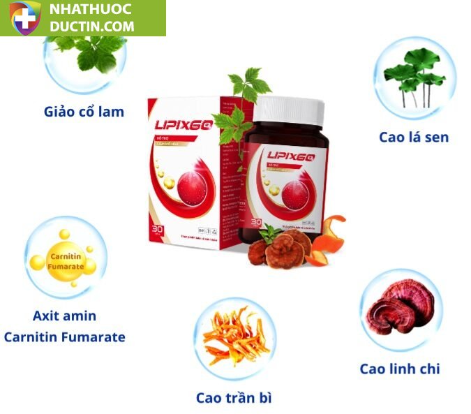 Combo 24 hộp lipixgo, viên uống hỗ trợ giảm mỡ máu 18 thanh1 1