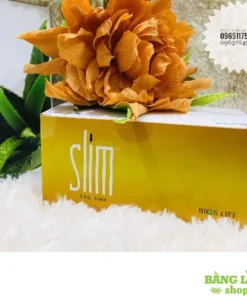slim unicity 1
