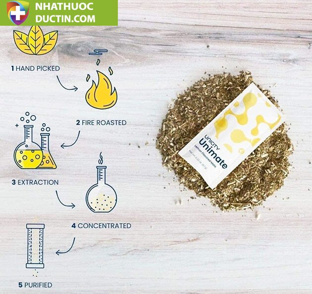 Unimate Chanh Gừng Unicity Nước Uống Chăm Sóc Não Bộ, Bổ Sung Năng Lượng 30 gói 22 unimate chanh gung unicity co tot khong