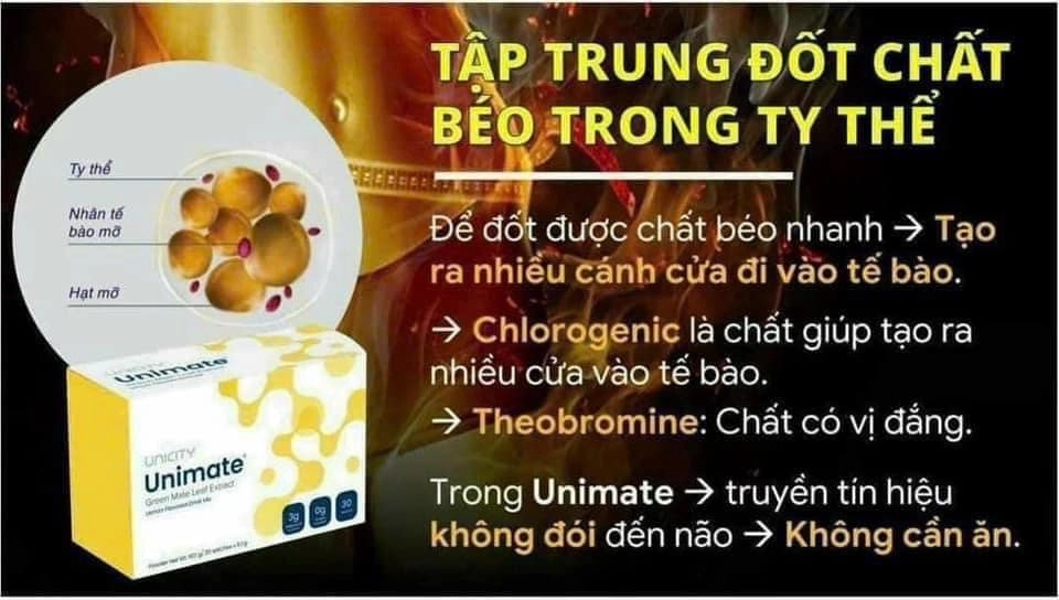 Set Siêu Đốt Mỡ 10 ngày Unicity ( 10 unimate + 20 Slim) 16 unimate gung 2