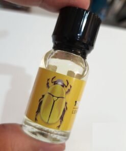 chai hit lang lang popper bo luxury 10ml 2