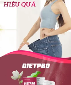 Dietpro 9 512x1024 1