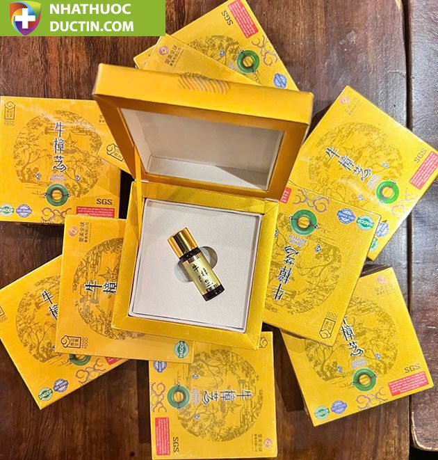 Nấm ngưu chương Quốc bảo Đài Loan – “Viên hồng ngọc” trong rừng 1 Nấm ngưu chương Quốc bảo Đài Loan – “Viên hồng ngọc” trong rừng