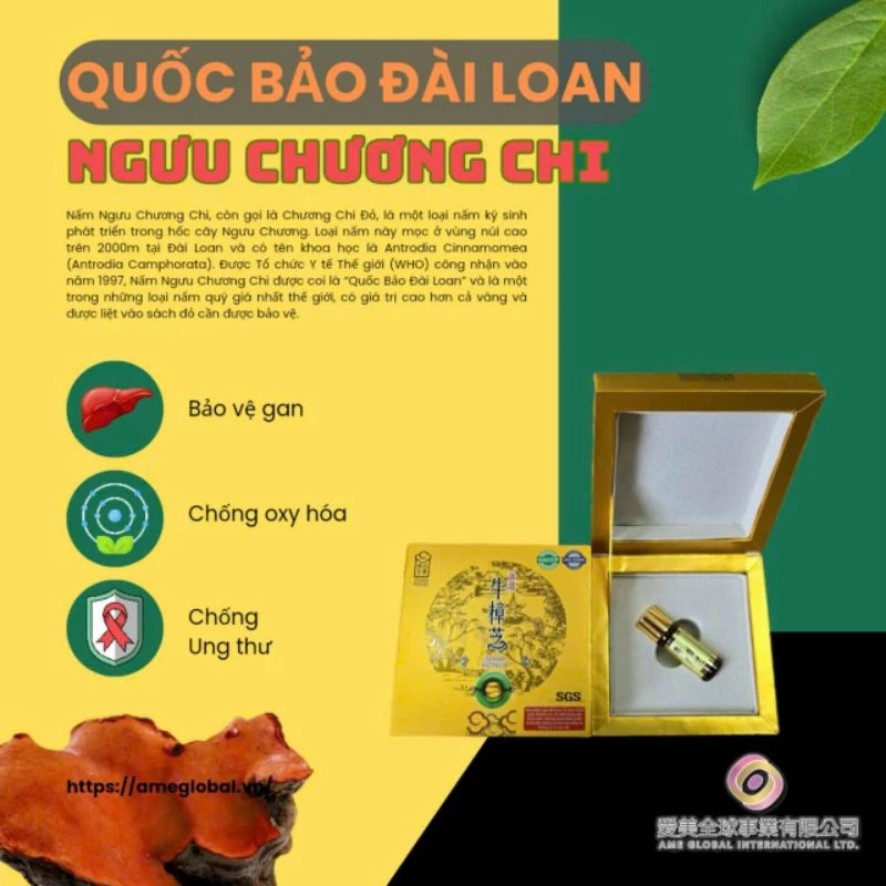 Ngưu chương chi quốc bảo Đài Loan 19 chuong2