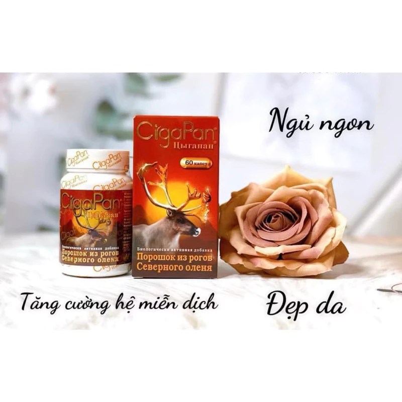 Viên Uống Sâm Nhung Cigapan (60v) Hàng Nga Hỗ Trợ Bồi Bổ Cơ Thể Mạnh Gân Cốt, Bổ Thận, Tráng Dương 12 ciga5