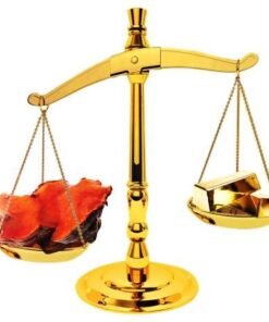 Nấm ngưu chương Quốc bảo Đài Loan – “Viên hồng ngọc” trong rừng 10 hinh 1 JFEG