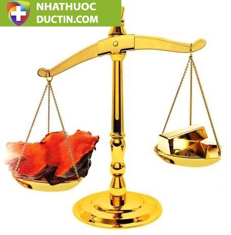 Nấm ngưu chương Quốc bảo Đài Loan – “Viên hồng ngọc” trong rừng 16 hinh 1 JFEG