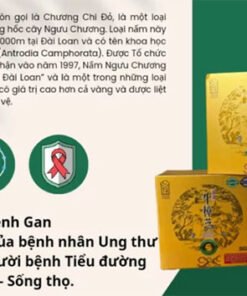 loi ich cua nam nguu chuong chi